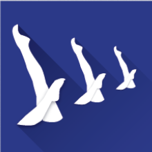 icono natacion artistica